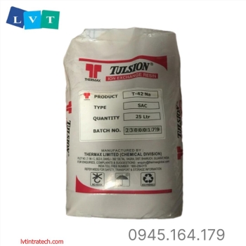 Hạt Cation Tulsion T42Na