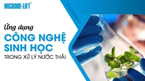 CƠ CHẾ CHUNG KHI ỨNG DỤNG CÔNG NGHỆ SINH HỌC TRONG XỬ LÝ NƯỚC THẢI